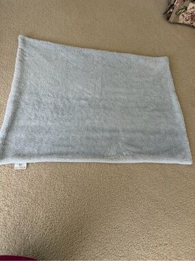 Light bluish gray Plush Throw Blanket
